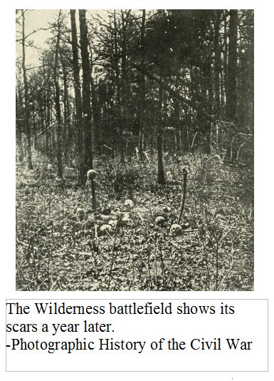 Wilderness Battlefield